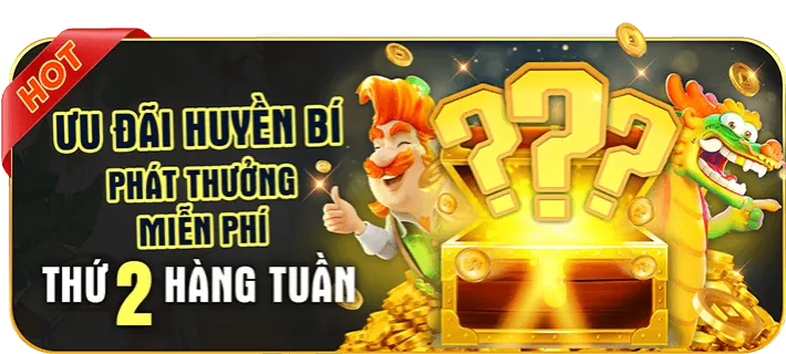 Tổng quan nền tảng 997bet