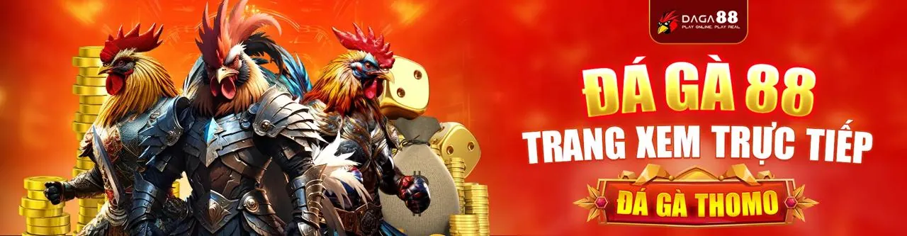 Đá Gà Trực Tuyến Hấp Dẫn tại 997bet Trang Chủ Chính Thức 2026